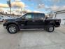 2012 BLACK FORD F150 XLT (1FTFW1ET9CK) with an 3.5L engine, Automatic transmission, located at 1100 W. Sheridan Ave., Shenandoah, 51601, (712) 246-1600, 40.765678, -95.388817 - Photo#1